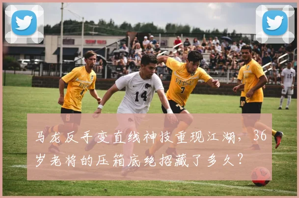 马龙反手变直线神技重现江湖,36岁老将的压箱底绝招藏了多久?